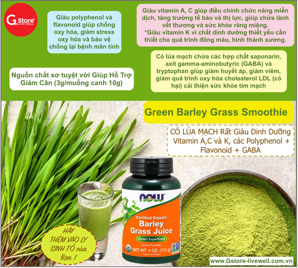 Barley Grass Juice Powder, Organic | Bột Cỏ Lúa Mạch Hữu Cơ (Sấy Lạnh), Giúp cung cấp Vitamin, Khoáng Chất và Enzymes (113 Gram)