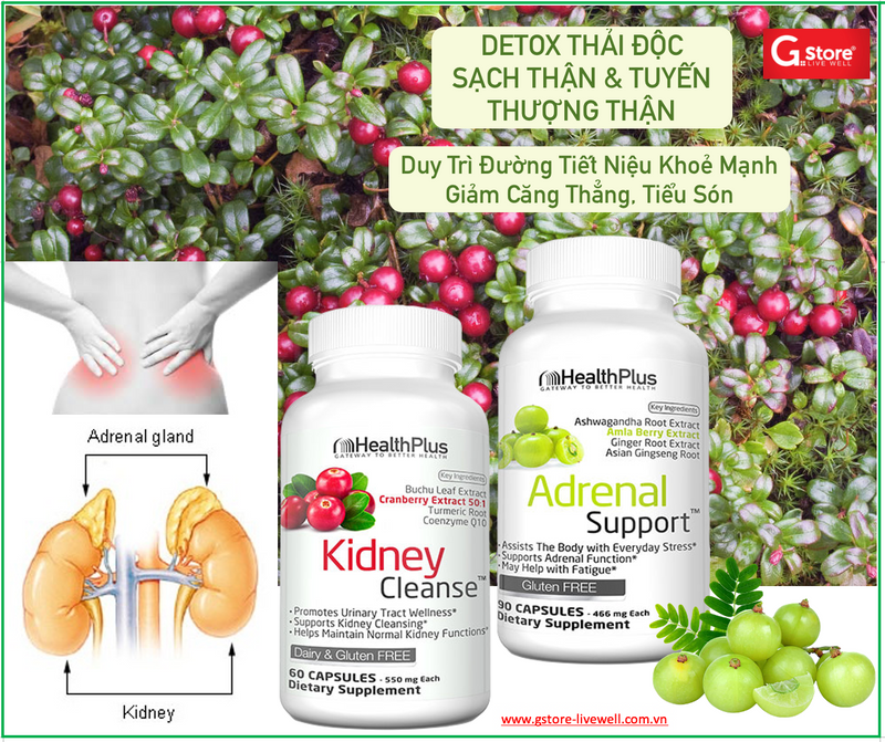 Adrenal Support™ | Detox Lọc Tuyến Thượng Thận, Công thức thảo dược: Hoàng Kỳ, Amla Berry, Nhân sâm Châu Á, Hạt tiêu đen và 500mcg Astaxanthin chống oxy hóa và chống viêm (90 Viên)