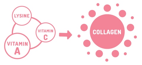 Gummies Vegan Collagen Booster | 150mg L-Lysine + Vitamin A, C, Giúp Tái Tạo collagen, Chống Oxy Hóa, Duy trì làn da khỏe mạnh (90 Viên - Người Lớn / Adults)